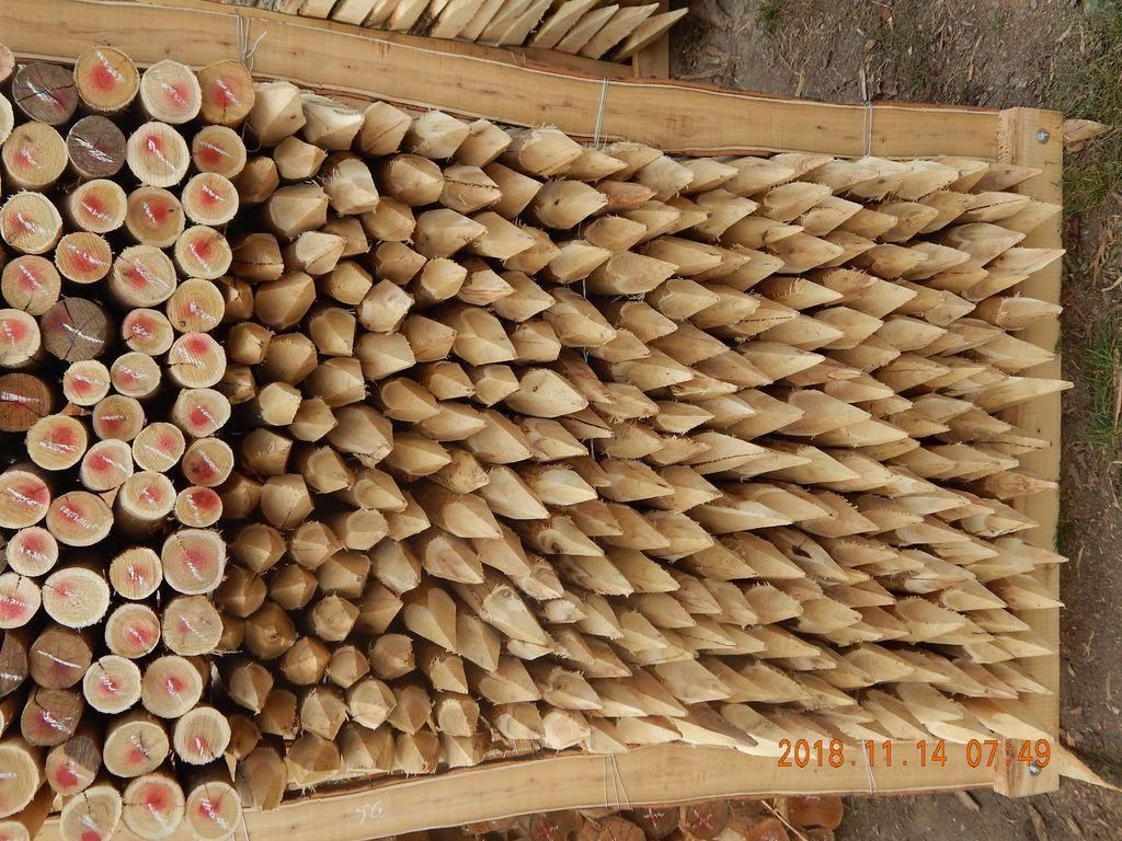 Akazienpfähle
