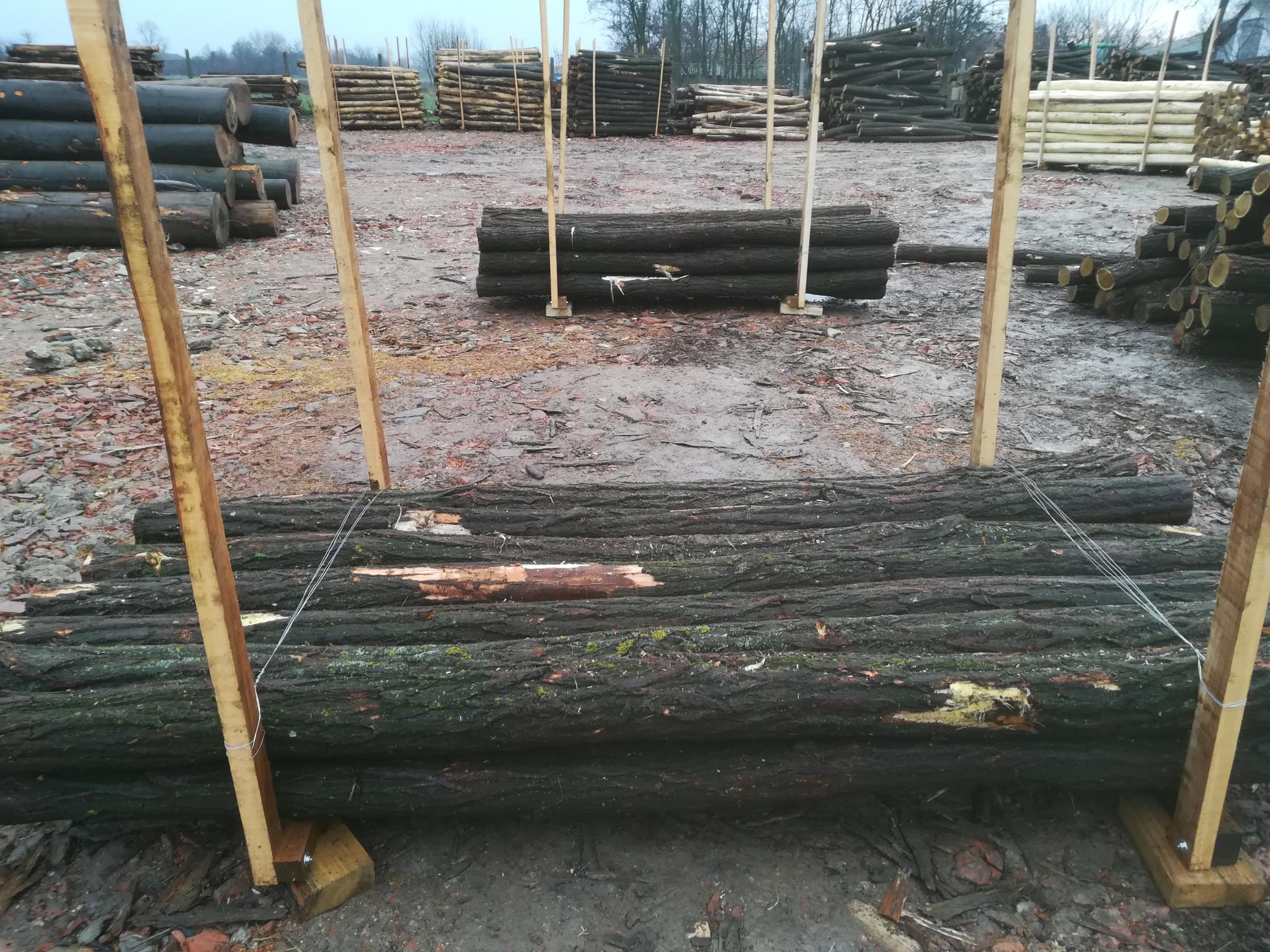 Akazienpfähle