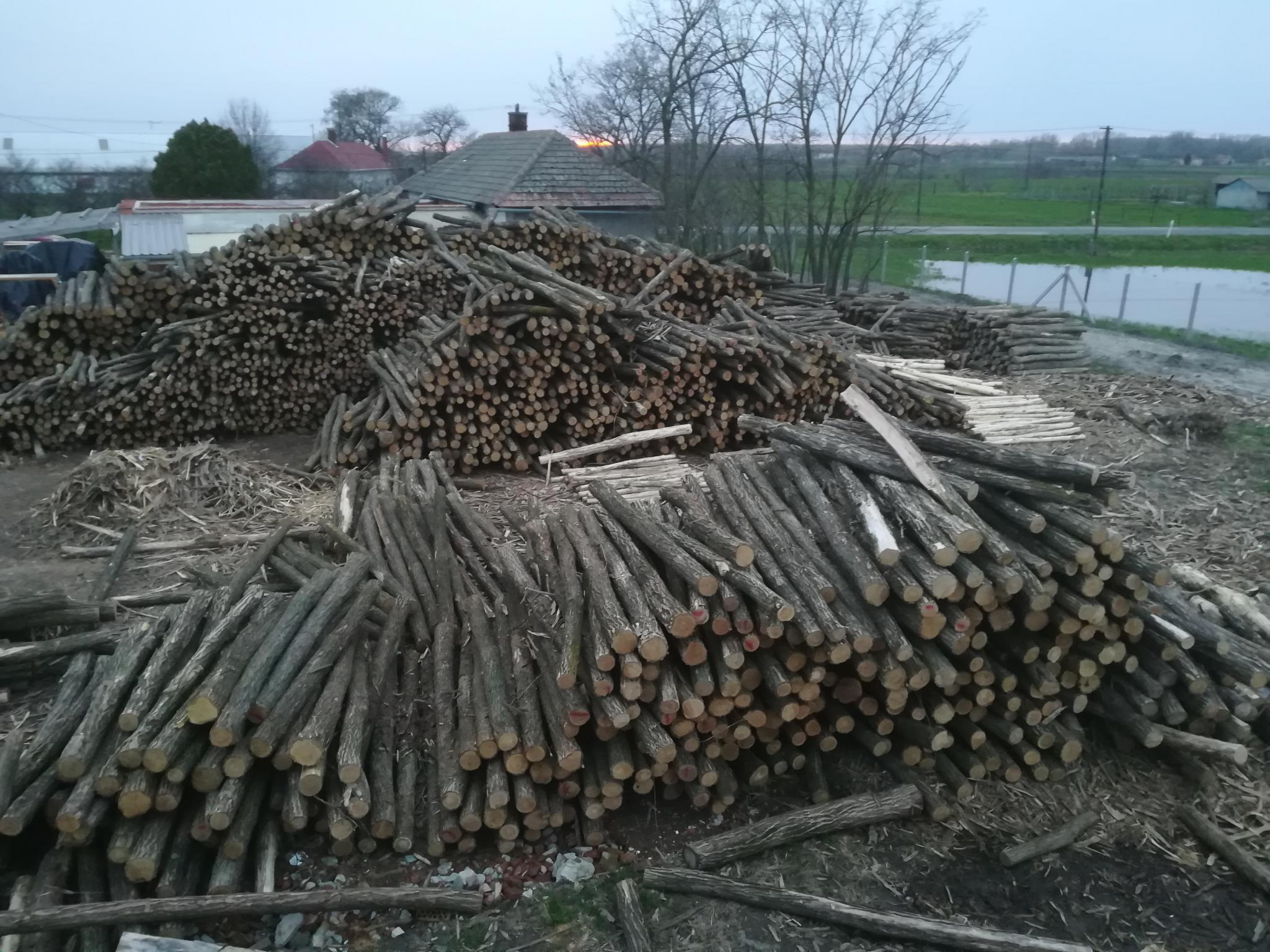 Akazienpfähle