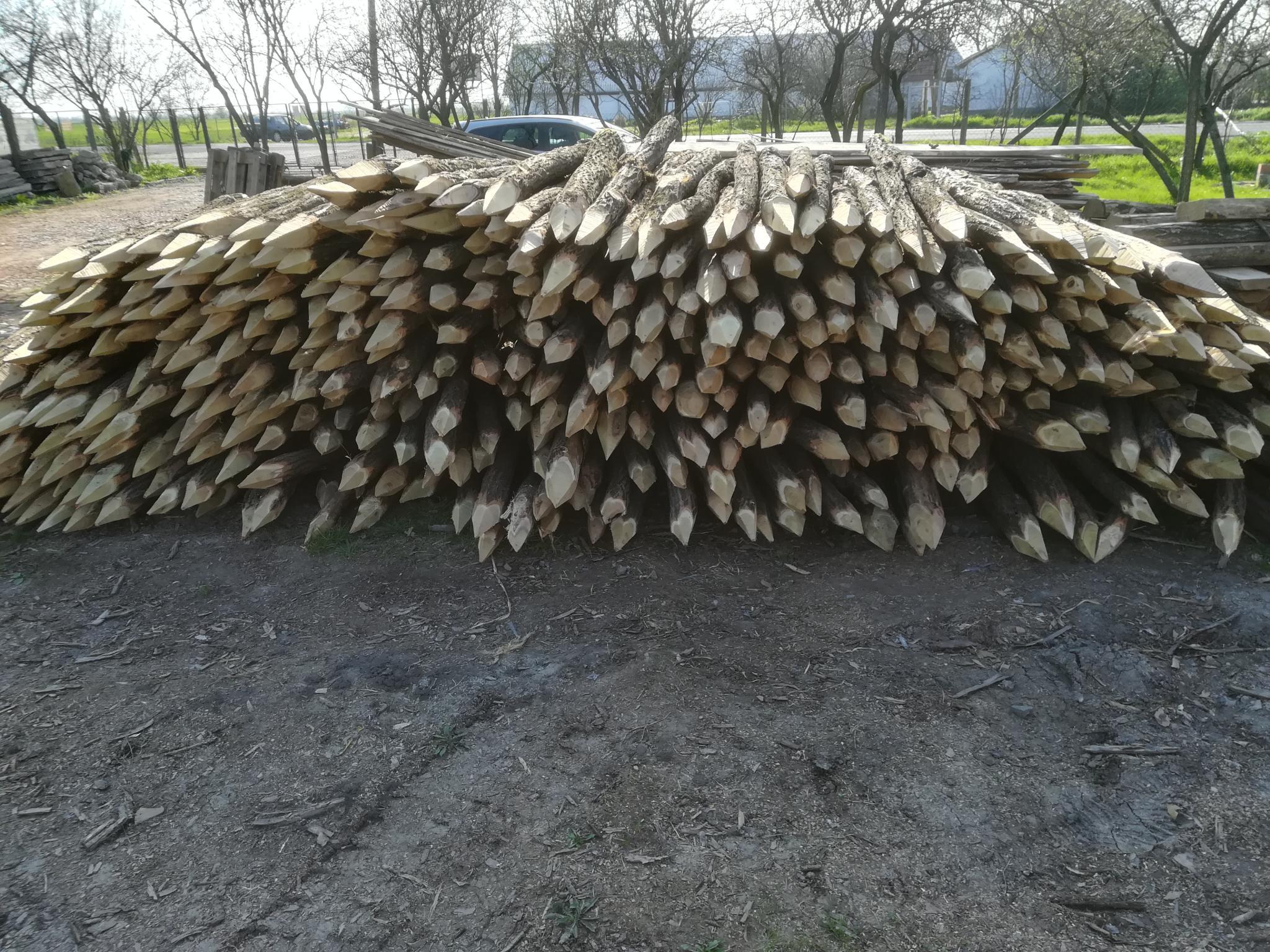 Akazienpfähle