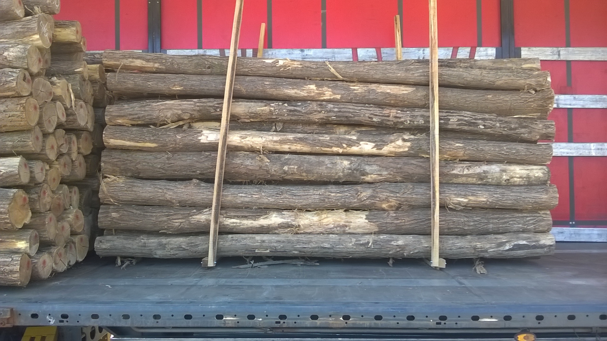 Akazienpfähle Akazienpfähle